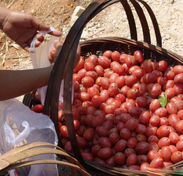 到雲南必吃的6種美食,每一款都是舌尖上的美食,有機會要試試 到雲南必吃的6種美食,每一款都是舌尖上的美食,有機會要試試