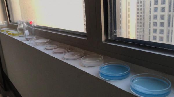 好久沒聊青空燈了，3個月時間，數百次實驗之後，面板做出來了