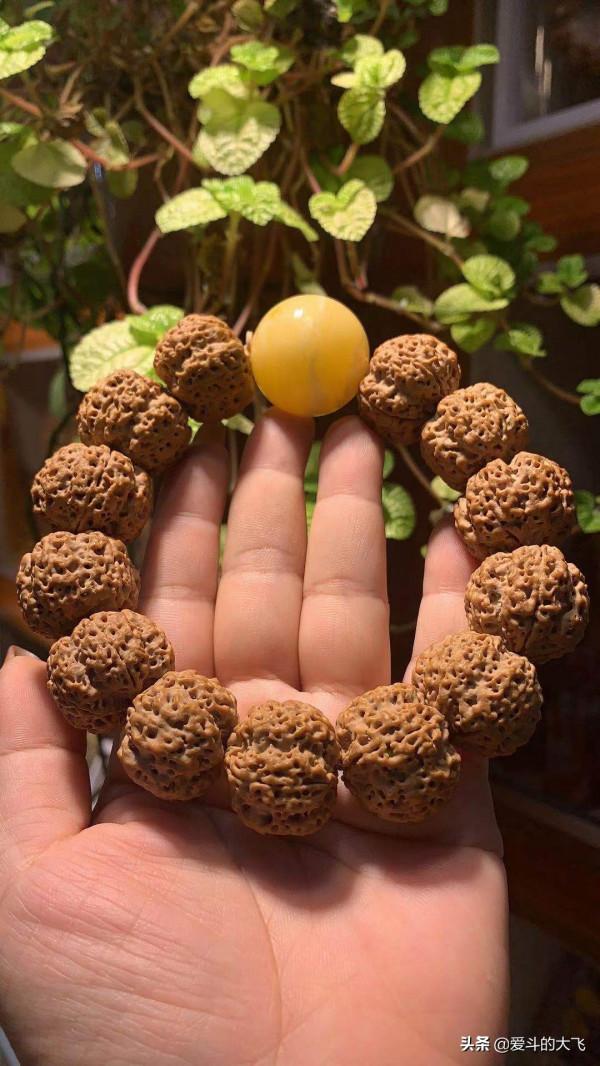 文玩大金剛您覺得怎麼樣?如果是您會入手嗎? 文玩大金剛您覺得怎麼樣?如果是您會入手嗎?