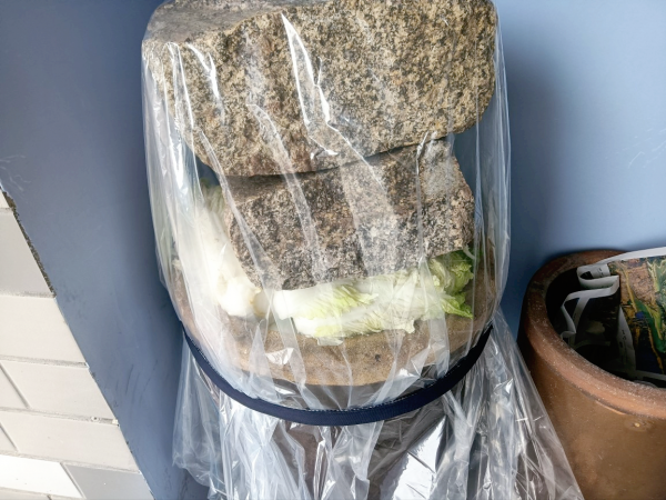 小雪開始醃菜,這9種蔬菜醃好後,脆爽開胃下飯,比新鮮的還好吃 小雪開始醃菜,這9種蔬菜醃好後,脆爽開胃下飯,比新鮮的還好吃