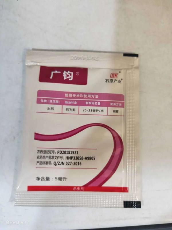 這7種多肉病蟲害,一到春天就爆發,及時處理很重要 這7種多肉病蟲害,一到春天就爆發,及時處理很重要