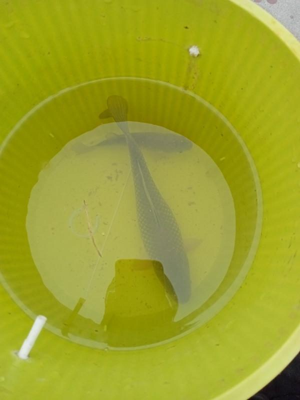 寒流大風也沒阻擋釣魚人的腳步，依然前行……