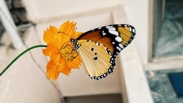 請不要認為他們“沒有主心骨”,雖然話少,但很有想法的星座 請不要認為他們“沒有主心骨”,雖然話少,但很有想法的星座