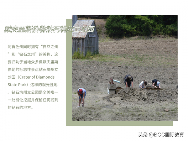 美國50個州的吃喝玩樂攻略請收好！留學生、遊客自駕遊跟團遊必看