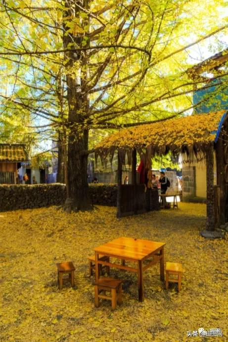 2022年最全旅行清單出爐：說走就走（這次一定）