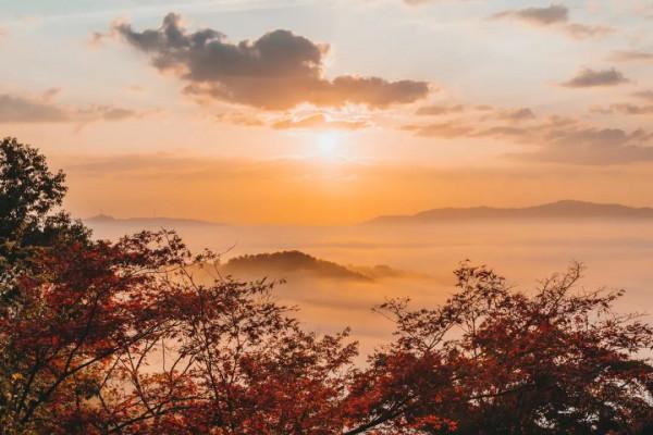 京都旅行 | 小眾京都 恍若仙境的千手寺雲海