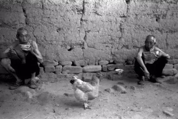 鄉村故事：放鷹