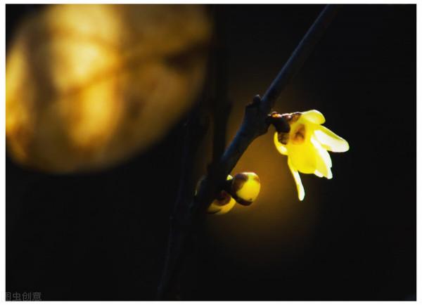 行動是通往答案的路 行動是通往答案的路