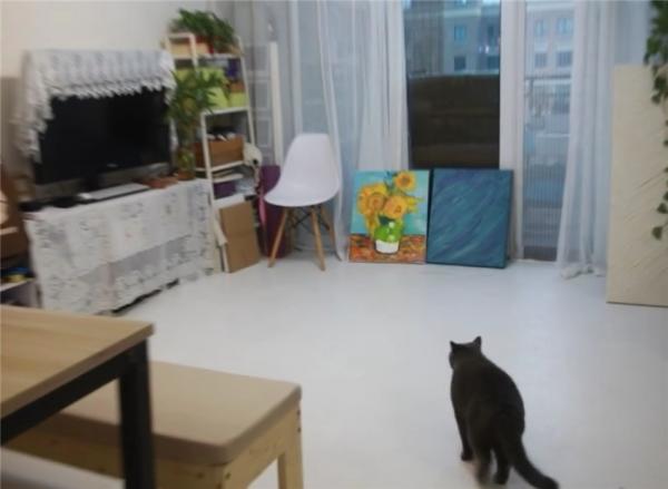 杭州姑娘為省錢,自己動手改造89㎡毛坯房,入住半年越住越愜意 杭州姑娘為省錢,自己動手改造89㎡毛坯房,入住半年越住越愜意