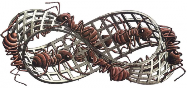 地球所有的水倒入，都無法裝滿的瓶子，“克萊因瓶”到底是什麼？