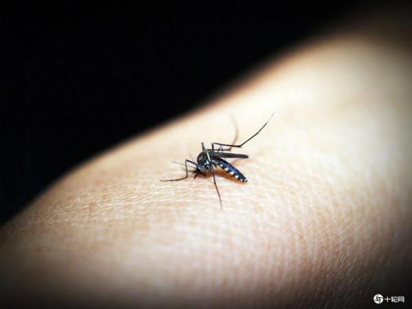 如何解決外來種“大肚魚”？研究：用機器魚掠食者嚇跑它們