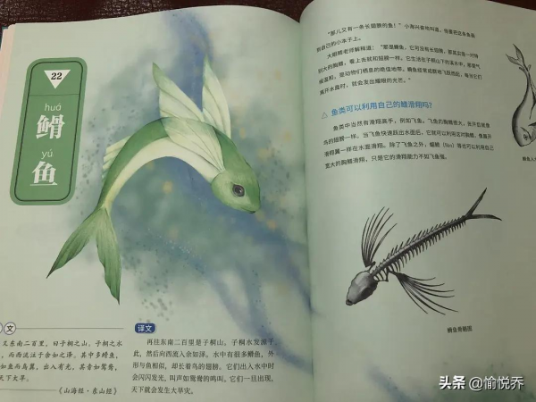 孩子看得懂也喜歡看的《山海經》