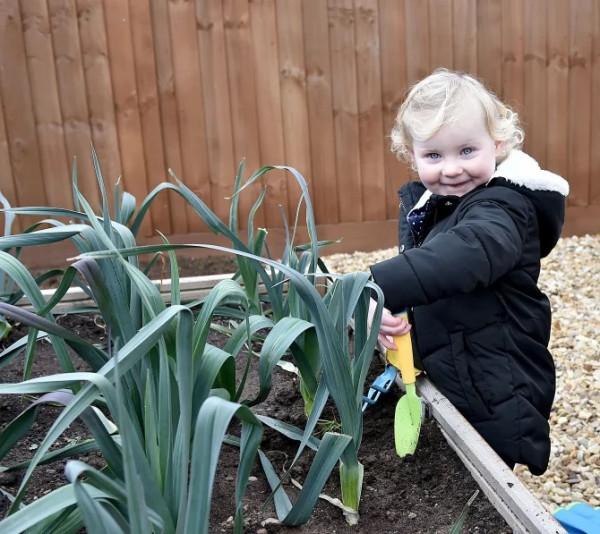 英國夫婦在自家花園裡種菜，一年後收到一封信，高興不起來