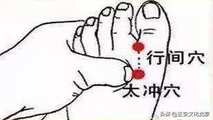 經絡 | 為什麼你總感覺疲憊？