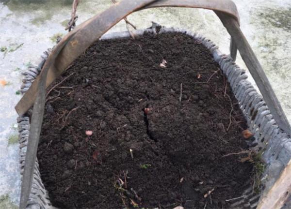 花土怎麼殺菌消毒？3個簡單至極的方法，往往最有效實用