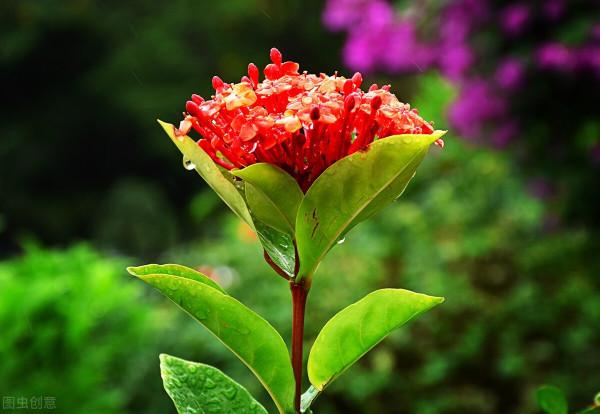 跨國影響力100強：國投集團第3，寧德時代第22，海爾第38