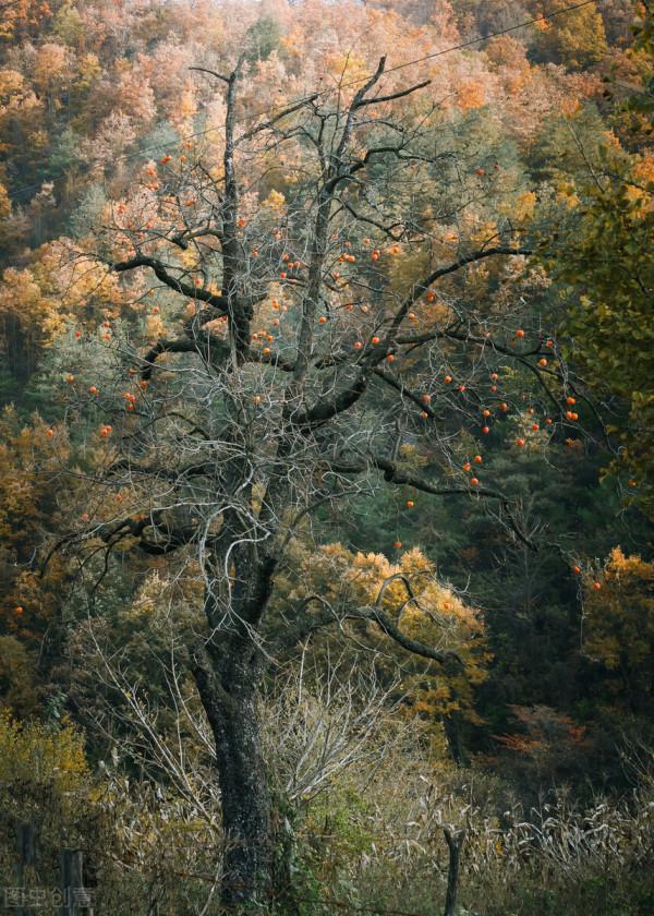 10月這12個顏值高地,已補好了妝,將向世人“賣弄”最美一面 10月這12個顏值高地,已補好了妝,將向世人“賣弄”最美一面