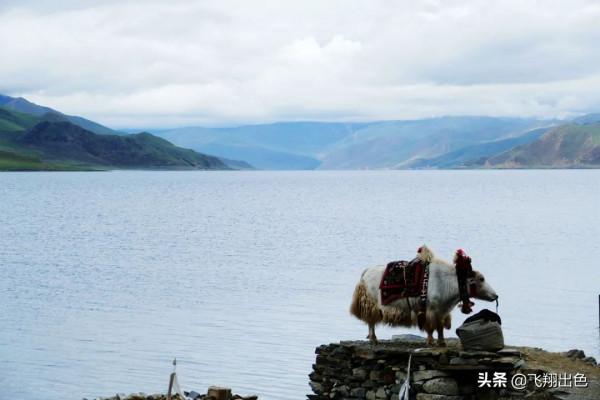 西藏行丨布達拉宮裡面究竟有什麼秘密? 西藏行丨布達拉宮裡面究竟有什麼秘密?