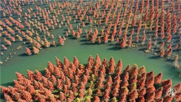 這也太太太美了吧！你覺得適合約誰去？