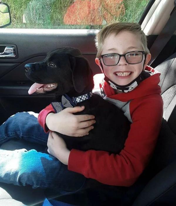 8歲男孩為救狗擺攤賣珍藏套卡，寶可夢公司：送一套新的