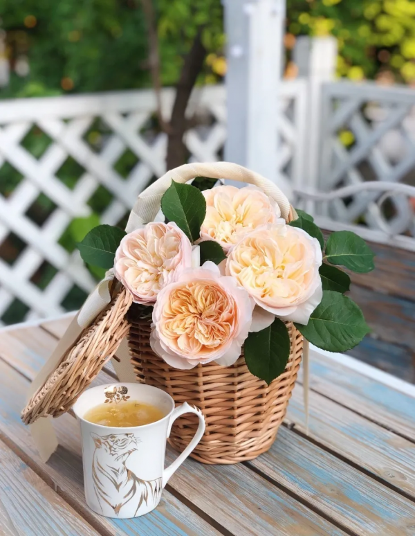 爆改2次,花費4萬,終將破舊小院改造成理想花園 爆改2次,花費4萬,終將破舊小院改造成理想花園