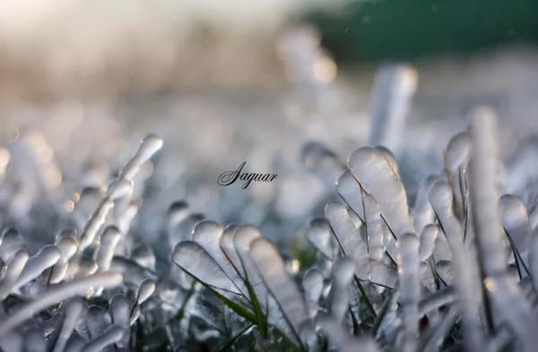 新疆霧凇,這才是完美冬天的開啟方式,真正的冰雪王國... 新疆霧凇,這才是完美冬天的開啟方式,真正的冰雪王國...