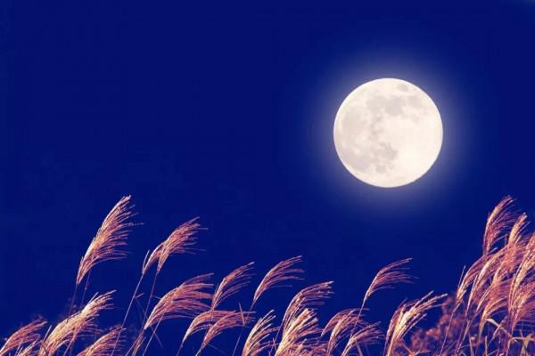 今晚和孩子鬥中秋詩詞!這首不帶“月”的好詩必須懂 今晚和孩子鬥中秋詩詞!這首不帶“月”的好詩必須懂