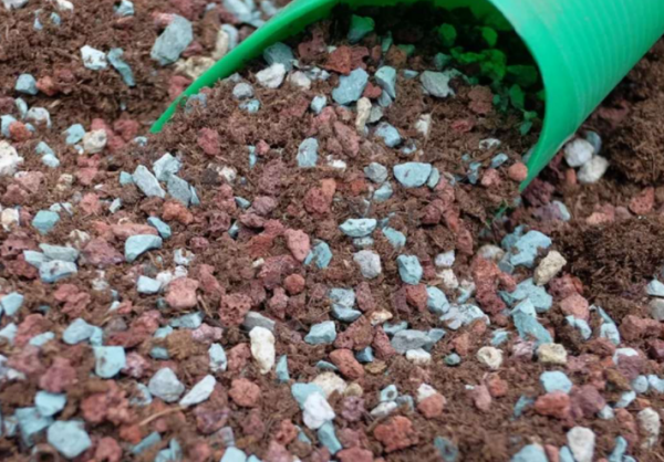 買到的營養土直接種花不爛根？錯！想不爛根，透過3點改善