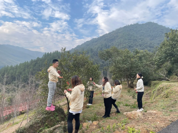 草木惠,引領康養度假定製年代 草木惠,引領康養度假定製年代