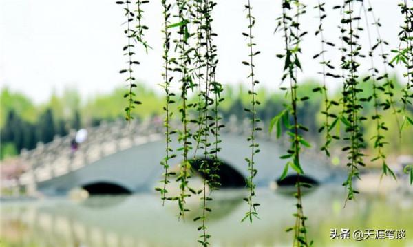 塘沽免費公園值得遊，順其自然地體驗，領略不一樣風景