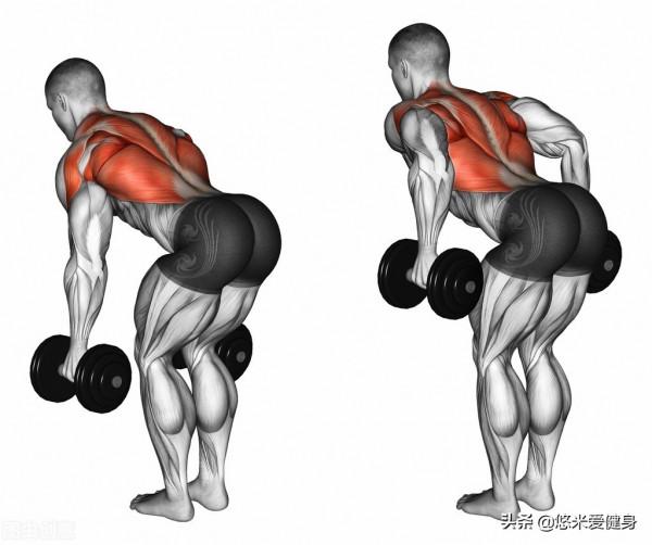 想要增加背闊肌厚度，多做這3個動作，更有效提升練背效果