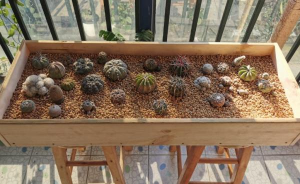 花盆也很重要,5種不同材質的常用花盆,你瞭解嗎 花盆也很重要,5種不同材質的常用花盆,你瞭解嗎