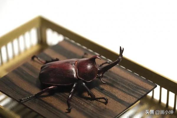 創造栩栩如生的木雕昆蟲