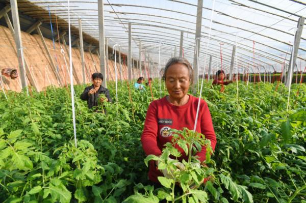 你真的能改變生活嗎？農村人的致富方法其實是可以複製的