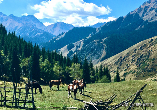 東南溝到後峽的自駕之旅(後峽完美的穿越線路) 東南溝到後峽的自駕之旅(後峽完美的穿越線路)