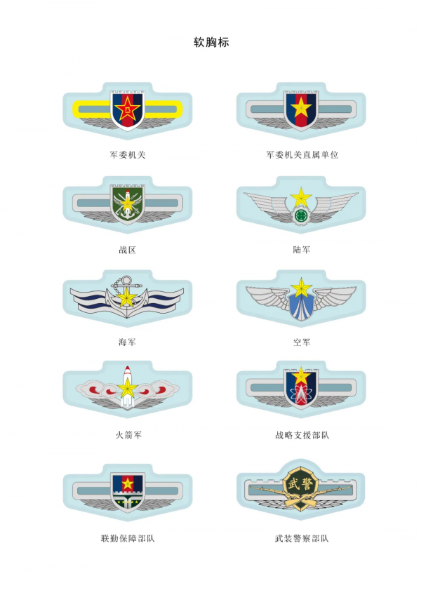 軍隊文職人員服飾與標誌大全,收藏版 軍隊文職人員服飾與標誌大全,收藏版