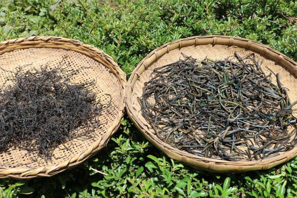 這6種蔬菜好吃還不貴,秋天正當季,多買點曬乾,冬天燉肉真過癮 這6種蔬菜好吃還不貴,秋天正當季,多買點曬乾,冬天燉肉真過癮