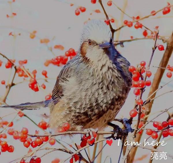 一場秋雨一場涼 一場秋雨一場涼
