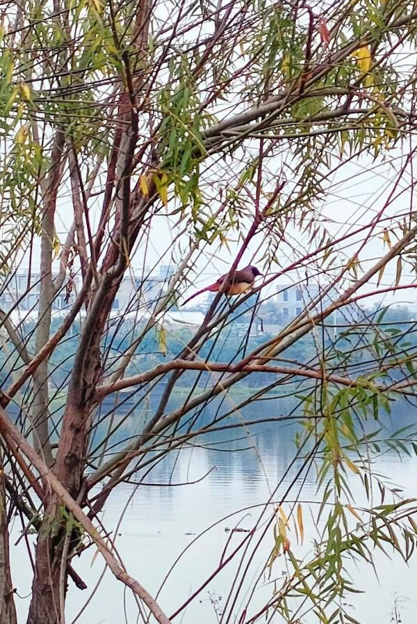 朋友圈2022年第7期｜&vert;好山好水