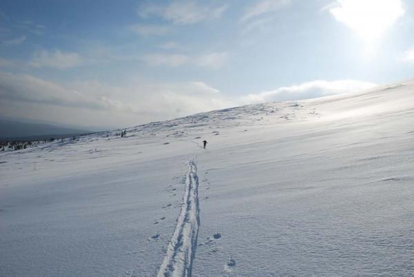 9名登山者意外慘死,時隔60年總統重啟調查,迪亞特洛夫事件 9名登山者意外慘死,時隔60年總統重啟調查,迪亞特洛夫事件