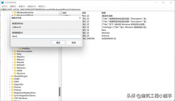 教程：Windows 11如何強制由Dev轉為Beta渠道