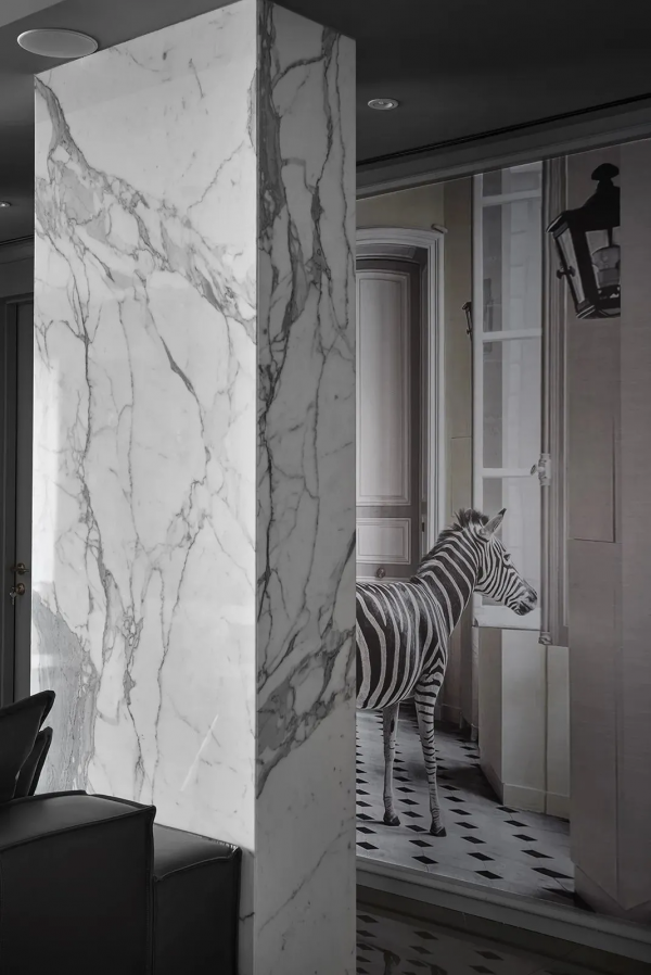 案例盤點 | 魚肚白能這麼火，不是沒理由