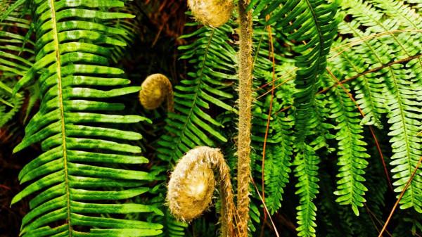 自駕一路遊山玩水貌似很瀟灑，可如果愛車的輪胎出了問題又該咋辦