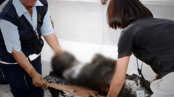 2003年，馬來西亞28歲少婦晚宴後離奇失蹤，一個布條成為破案關鍵