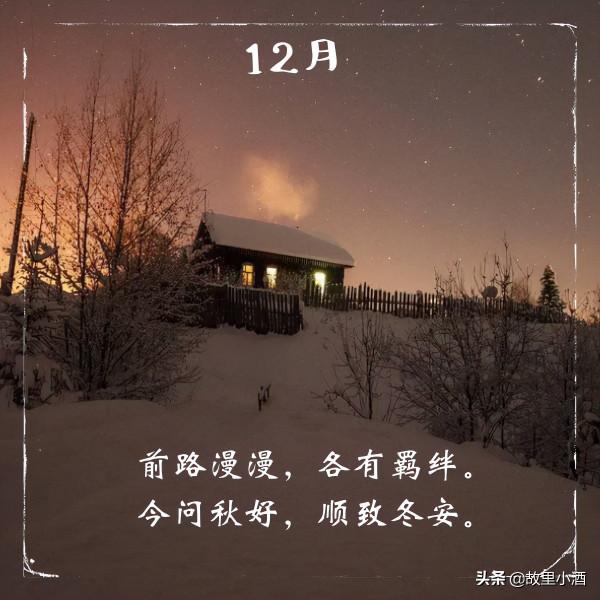 令人愜意的句子：春觀夜櫻，夏望繁星，秋賞滿月，冬會初雪