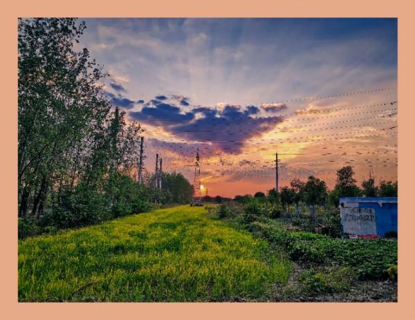 小米11主攝拍攝