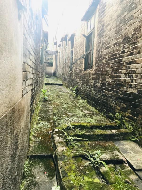 文旅中國0009:廣東省最大古梁家莊園,有炮樓碼頭為何人去樓空? 文旅中國0009:廣東省最大古梁家莊園,有炮樓碼頭為何人去樓空?