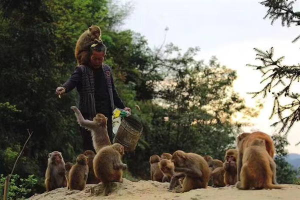 呂洞秘境·聖山傳奇