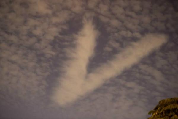 70個神奇照片,狗熊大戰狼,美國槍斃處決室,施瓦辛格的非洲兄弟 70個神奇照片,狗熊大戰狼,美國槍斃處決室,施瓦辛格的非洲兄弟