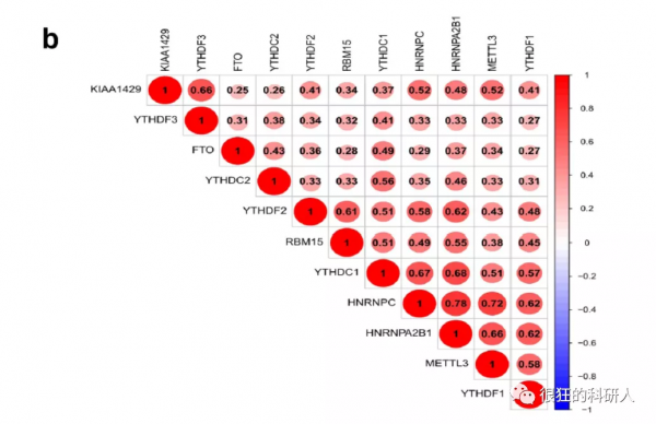 爛大街的純生信只要這樣打扮一下就可以得到期刊的青睞